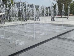 -长兴太湖图影湿地文化园