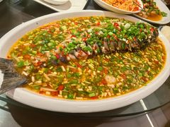 -飞虹鱼馆(春华路店)