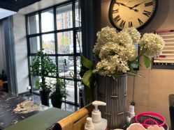 -Z.X HAIR SALON张新美业