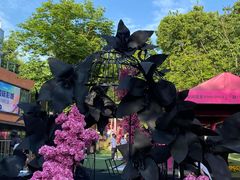 -西安电影制片厂