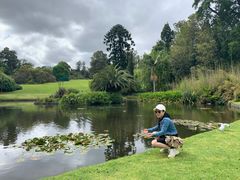 -墨尔本皇家植物园