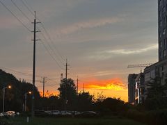 -京东图文广告有限公司(上海店)