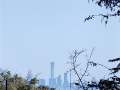 -北京西山国家森林公园