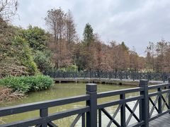 -海珠湖公园