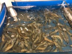 -澜悦港海鲜体验主题餐厅