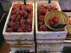 -莲花公园煎蟹(总店)