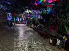 -蓬莱欧乐堡海洋极地世界