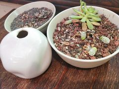 -看书吧(体育东横路店)