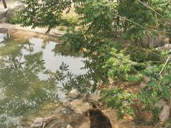 -石家庄市动物园