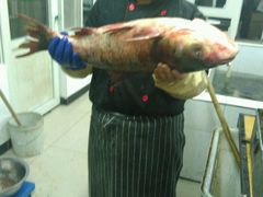 -官厅老勾渔馆(温泉店)