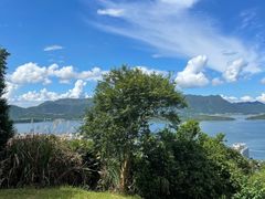 -香港大学