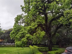 -桂林独秀峰王城景区