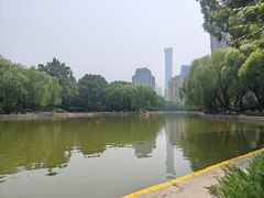 -团结湖公园