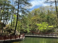 -洛阳白云山景区