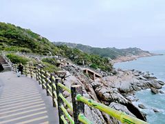 -广东惠东海龟国家级自然保护区