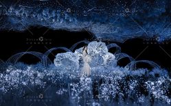 点击看大图 -三色锦婚礼定制