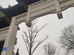 -龙潭水乡
