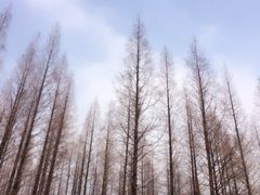 iphone_upload_pic-上海怡沁园度假酒店