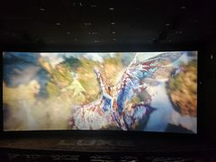 -环球国际影城(天鸿广场LUXE巨幕店)