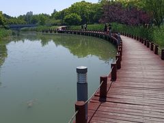 -苏州东太湖生态园