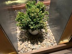 -丹江渔村(望京店)