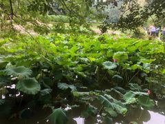 -韶山毛泽东同志故居