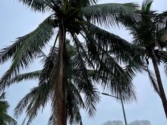 -西秀海滩公园