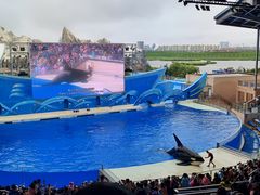 -上海海昌海洋公园