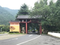 -天目山大树王景区