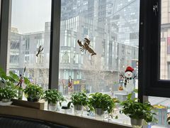 -斯普汇生蚝牛排馆(中骏世界城店)