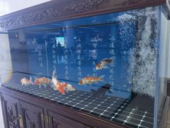 -乌鲁木齐天山国际机场-T3航站楼