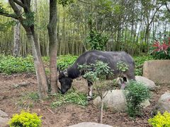 -茅山东方盐湖城景区