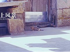 android_upload_pic-东极岛景区