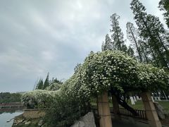 -红星桥(地铁站)