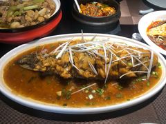 -陈麻婆豆腐总店