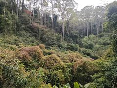 -水濂山森林公园