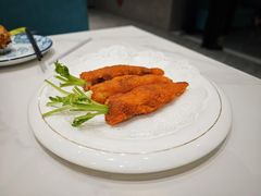 -丁老爷子苏香圆