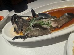 -闽海肴(北辰荟店)