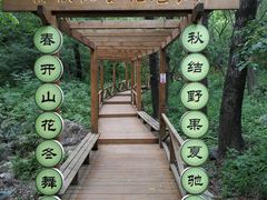 -大岭沟猕猴桃谷风景区