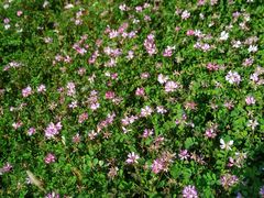 -福建鲤鱼洲酒店