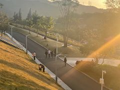 -白石龙音乐公园