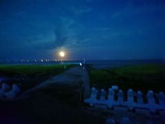 -南汇嘴观海公园