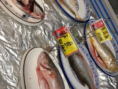 -邵年鸽(杨庄店)