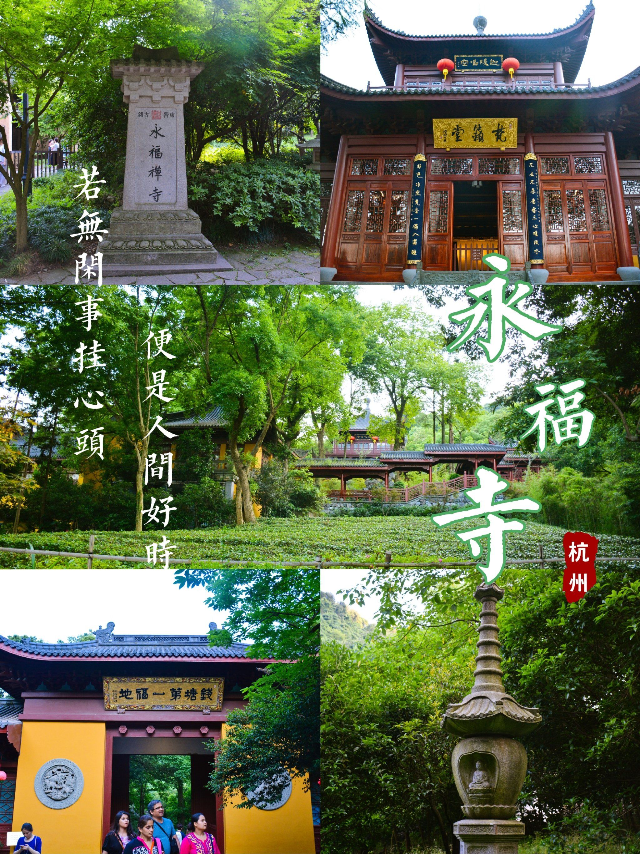 可礼佛可品茶,杭州永福寺真佛系