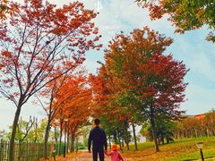 -梁子湖东篱老屋生态庄园