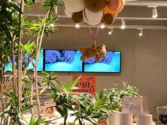 -迦南的早晨蛋糕甜品集合店