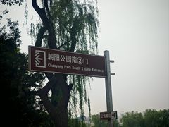 -朝阳公园游乐园