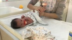 -海豚湾高端月子会所(黄浦店)