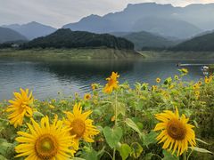 -瓦屋山景区