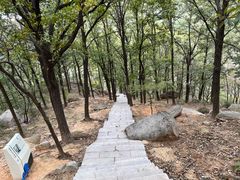 -沂蒙山旅游区云蒙景区(蒙山国家森林公园)